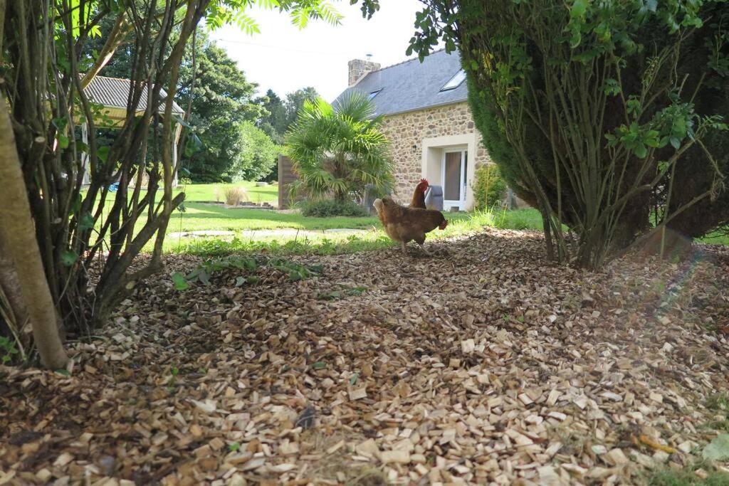 Holiday home Les De Douar Bouillon